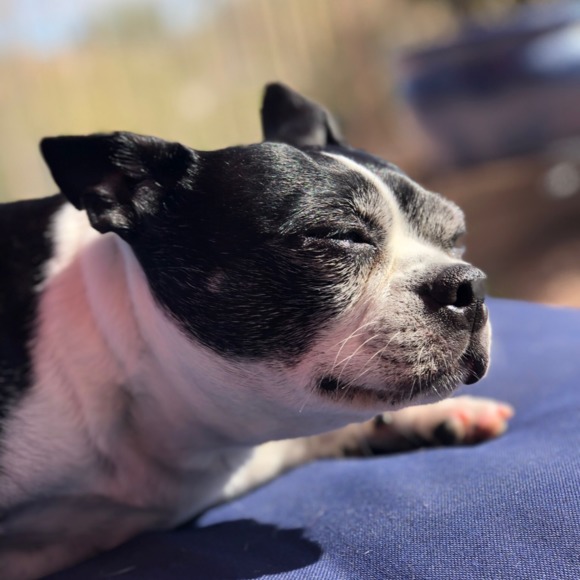 Meet your Posher, Joyce - Picture 1 of 1